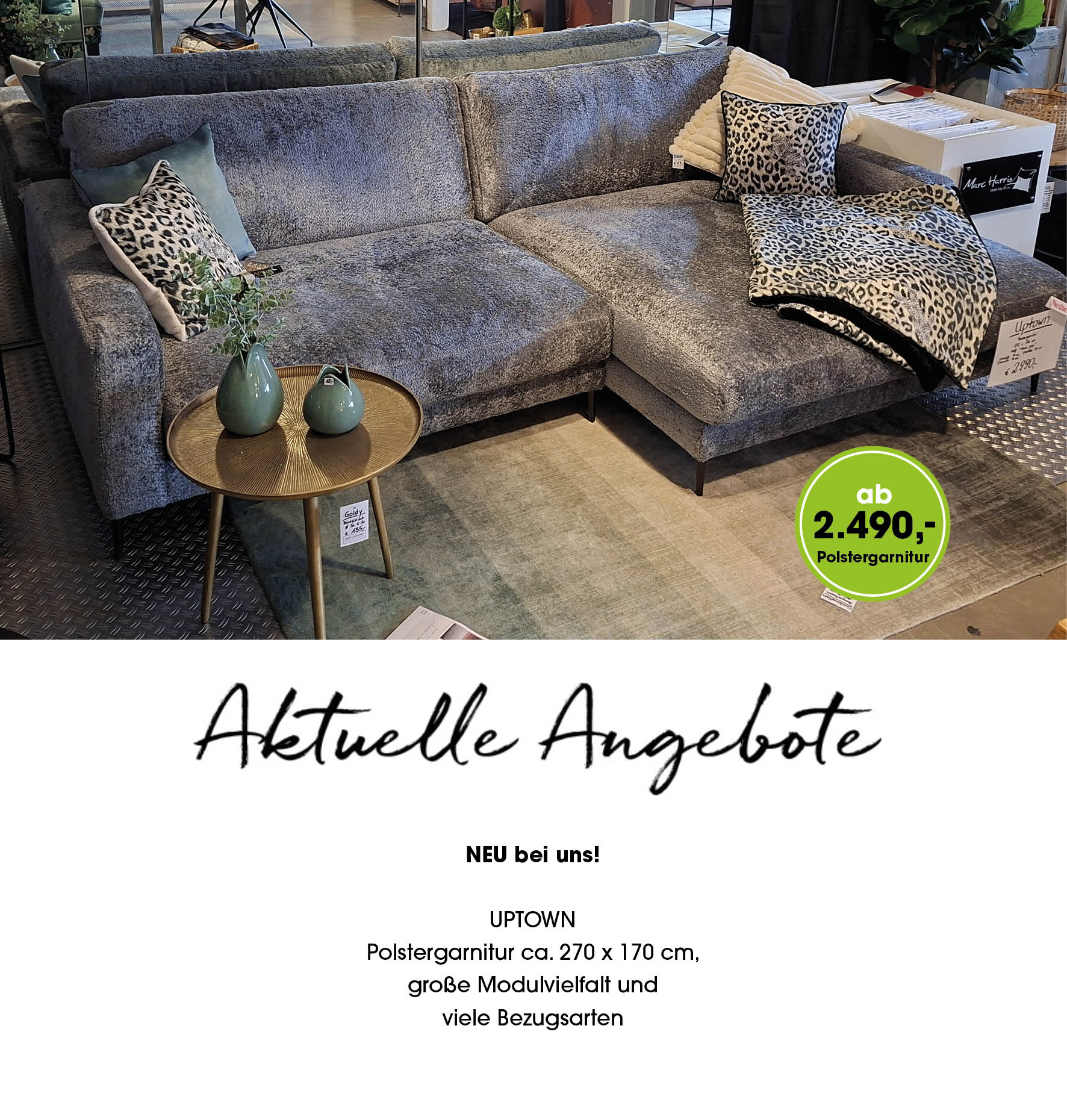 Vorlage_Angebote:Neuheiten1